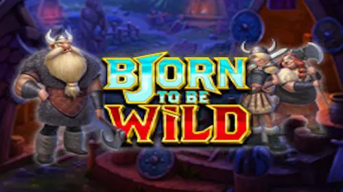 Bjorn to be Wild - SpinCity - Zimbabwe