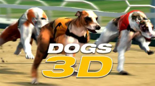 Dogs 3D - SpinCity - Zimbabwe