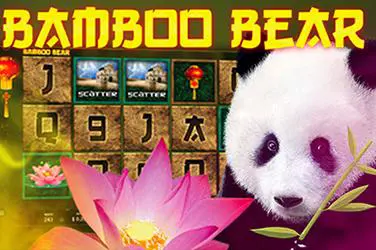 Bamboo Bear - SpinCity - Zimbabwe