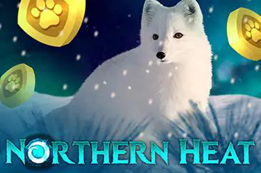 Northern Heat - SpinCity - Zimbabwe