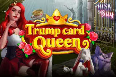 Trump Card: Queen - SpinCity - Zimbabwe