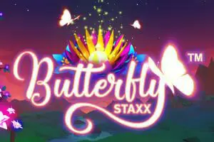 Butterfly Staxx - SpinCity - Zimbabwe