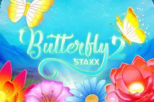 Butterfly Staxx 2 - SpinCity - Zimbabwe