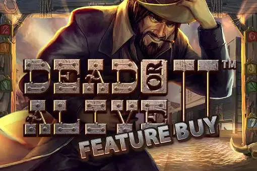 Dead or Alive 2 Feature Buy - SpinCity - Zimbabwe