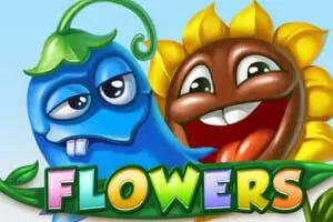 Flowers - SpinCity - Zimbabwe