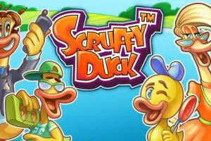 Scruffy Duck - SpinCity - Zimbabwe