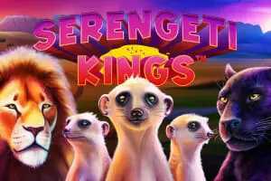Serengeti Kings - SpinCity - Zimbabwe