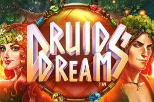 Druids Dream - SpinCity - Zimbabwe