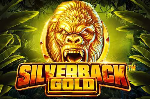 Silverback Gold - SpinCity - Zimbabwe