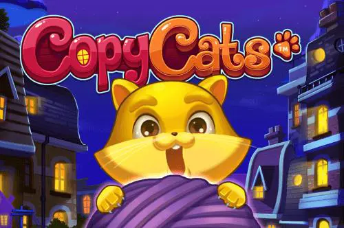 CopyCats - SpinCity - Zimbabwe