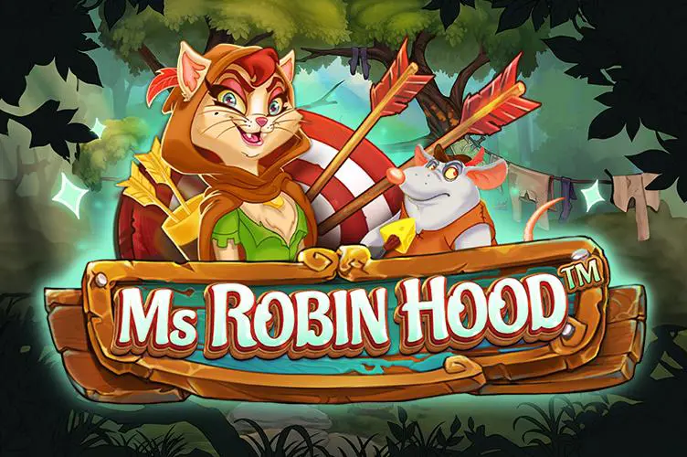 Ms Robin Hood - SpinCity - Zimbabwe