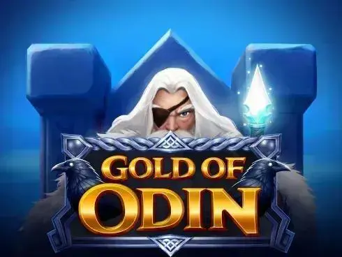 Gold of Odin - SpinCity - Zimbabwe