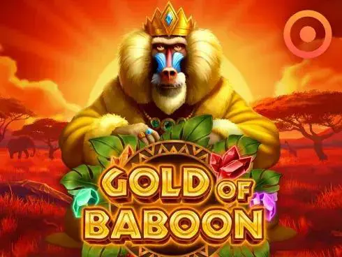 Gold of Baboon - SpinCity - Zimbabwe