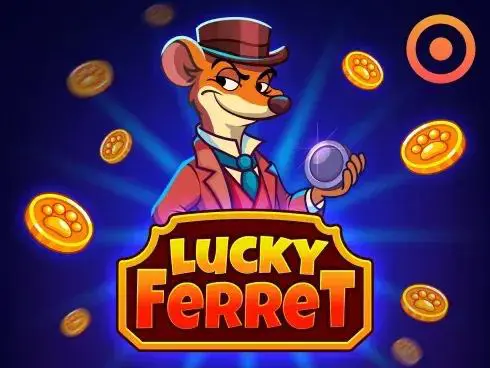 Lucky Ferret - SpinCity - Zimbabwe