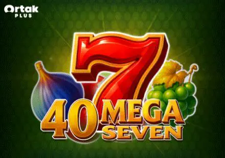 Mega Seven 40 - SpinCity - Zimbabwe
