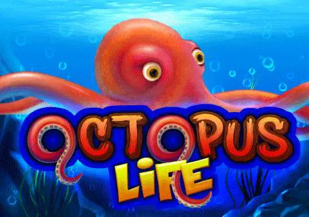 Octopus Life - SpinCity - Zimbabwe