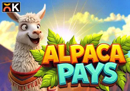 Alpaca Pays - SpinCity - Zimbabwe