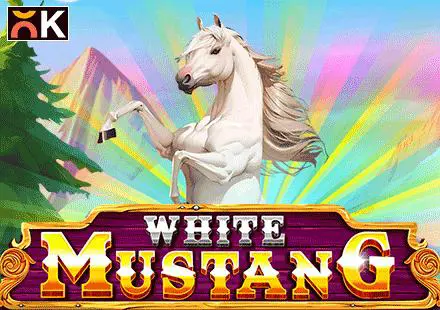 White Mustang - SpinCity - Zimbabwe