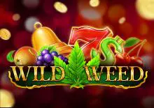Wild Weed - SpinCity - Zimbabwe