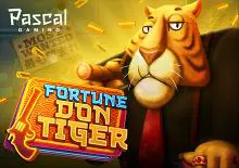 Fortune Don Tiger - SpinCity - Zimbabwe