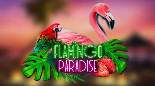 Flamingo Paradise - SpinCity - Zimbabwe