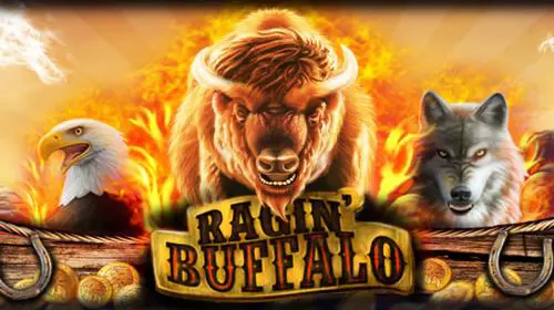Ragin' Buffalo - SpinCity - Zimbabwe