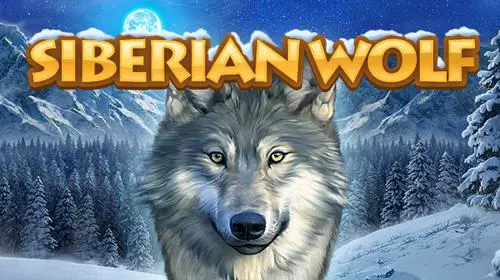 Siberian Wolf - SpinCity - Zimbabwe