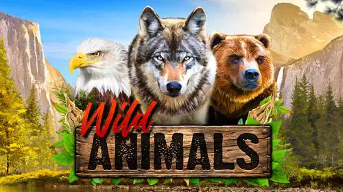 Wild Animals - SpinCity - Zimbabwe