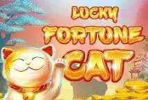 Lucky Fortune Cat - SpinCity - Zimbabwe