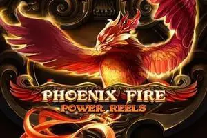 Phoenix Fire Power Reels - SpinCity - Zimbabwe
