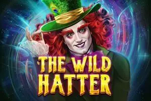 The Wild Hatter - SpinCity - Zimbabwe