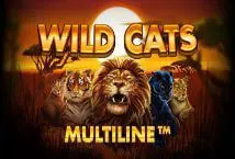 Wild Cats Multiline - SpinCity - Zimbabwe