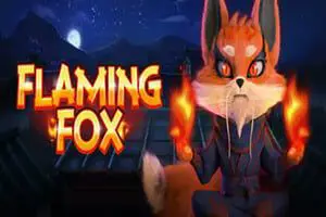 Flaming Fox - SpinCity - Zimbabwe