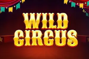 Wild Circus - SpinCity - Zimbabwe