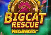 Big Cat Rescue Megaways - SpinCity - Zimbabwe