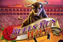 Bulls Run Wild - SpinCity - Zimbabwe