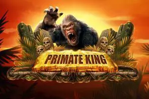 Primate King - SpinCity - Zimbabwe