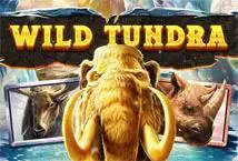 Wild Tundra - SpinCity - Zimbabwe