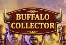 Buffalo Collector - SpinCity - Zimbabwe