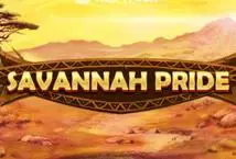 Savannah Pride - SpinCity - Zimbabwe