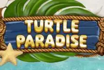 Turtle Paradise - SpinCity - Zimbabwe