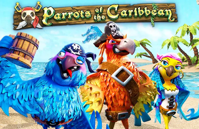 Parrots of Caribbean - SpinCity - Zimbabwe