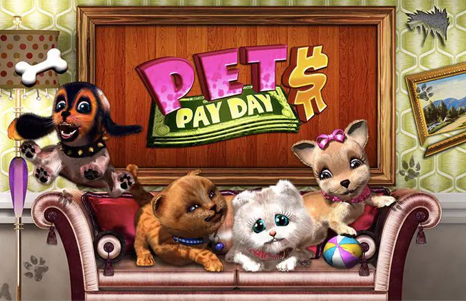Pets Pay Day - SpinCity - Zimbabwe