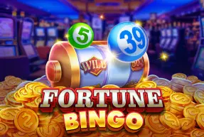 Fortune Bingo - SpinCity - Zimbabwe