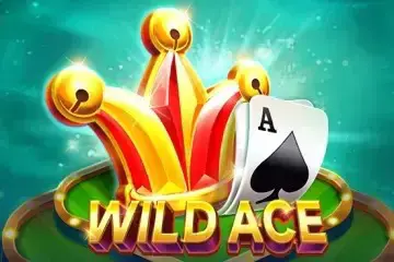 Wild Ace - SpinCity - Zimbabwe