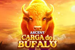 Charge Buffalo ASCENT - SpinCity - Zimbabwe