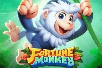 Fortune Monkey - SpinCity - Zimbabwe