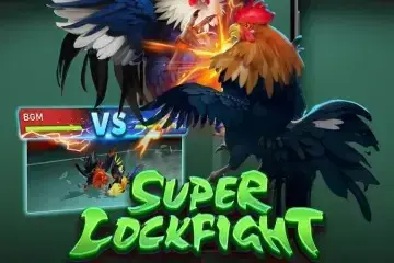Super Cockfight - SpinCity - Zimbabwe