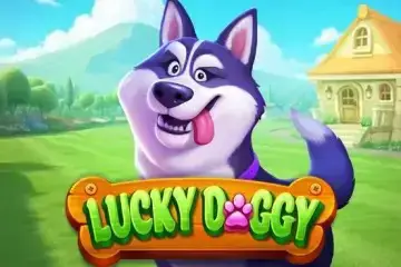 Lucky Doggy - SpinCity - Zimbabwe