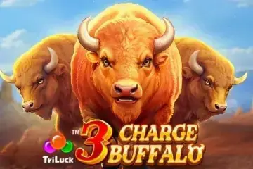 3 Charge Buffalo - SpinCity - Zimbabwe